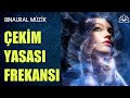 ÇEKİM YASASI FREKANSI / MUCİZELER YARATACAKSINIZ!