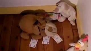 Dumdog contre l'alcool. ( Partie 1.)