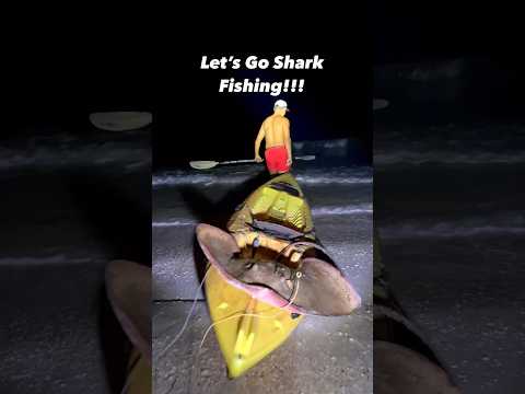 Let’s Go Shark Fishing!!!!! @JunoBrandon #sharkfishing #fishing #lbsf #hammerheadshark #shark