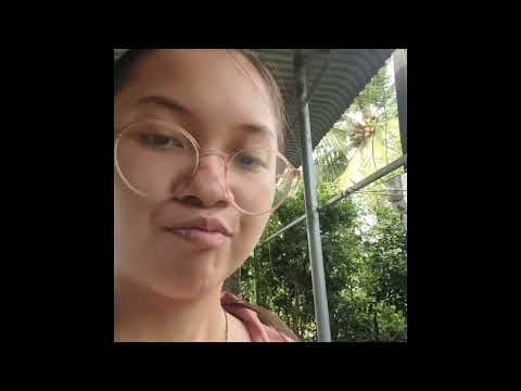 2025年10月31日 (31 tháng 10, 2025)