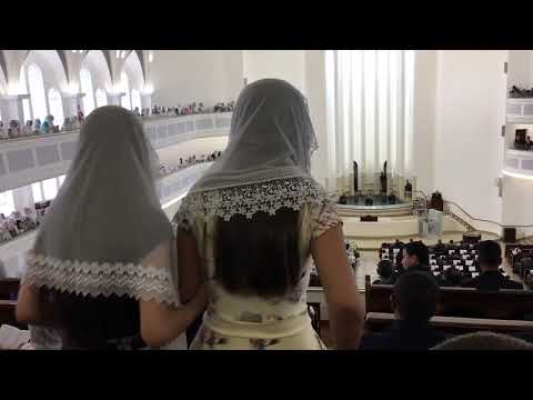 Hino 441 Eu sou um cordeirinho Ccb Brás