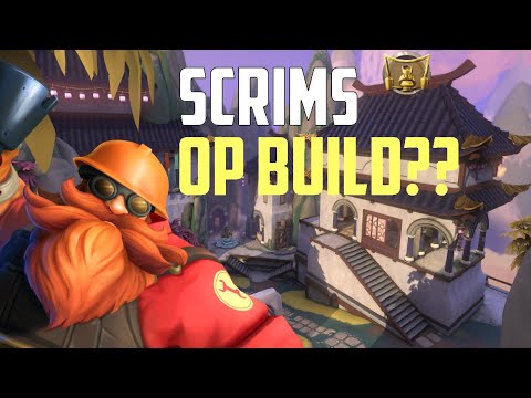 PALADINS BARIK SCRIM WITH MEME BUILD | Pro Paladins Player