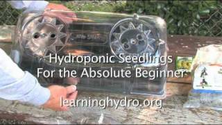 How to start seeds for a Hydroponic Garden / Starter Plugs and Jump Start