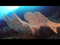 Filitheyo Island Resort, Malediven, Filitheyo, Tauchen Malediven, GoPro Tauchen,