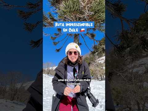 ⛰️ RUTA increíble en el PARQUE NACIONAL VILLARRICA en CHILE: Sendero Lagos Andinos 🇨🇱