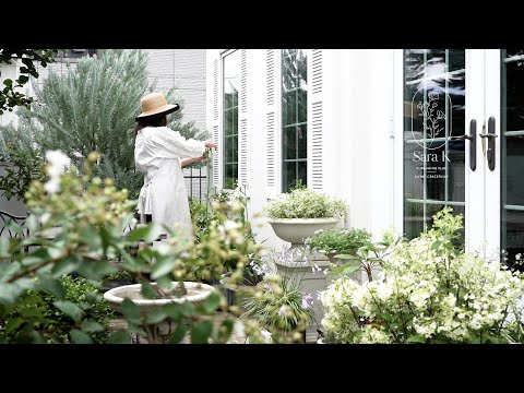 ホワイトスクイル 植物