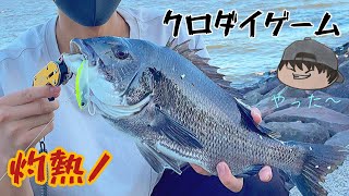【ソータの釣行】激アツTARGET！真夏のクロダイゲーム！！