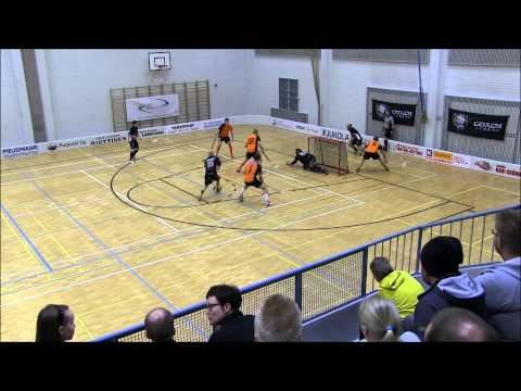 Maalikooste Coach Team - In-team 27.3.2015