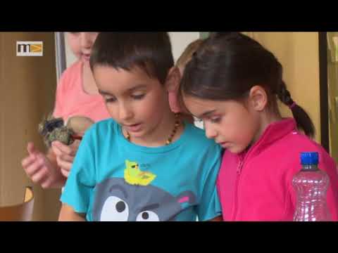 MEMA TV - Mürztal Aktuell 01.09.2017