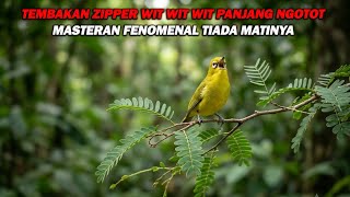 Download lagu PANCINGAN PLECI NEMBAK ZIPPER WIT WIT WIT PANJANG NGOTOT, BIKIN LAWAN IKUT NEMBAK DAN BUKPAR mp3