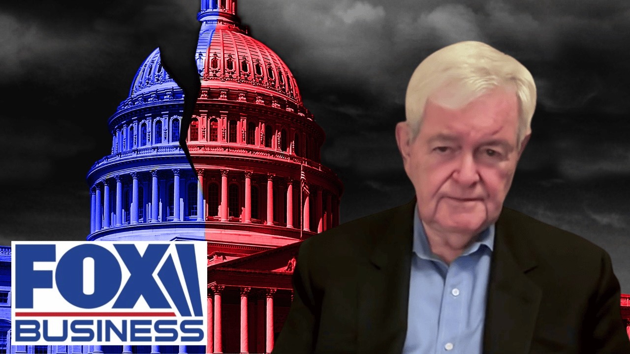 Gingrich: We've tried this experiment before and it has 'MISERABLY FAILED' | Recap