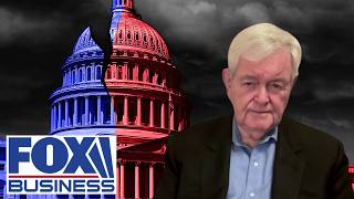 Gingrich: We've tried this experiment before and it has 'MISERABLY FAILED' | Recap