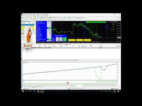 Video Hamster Scalping