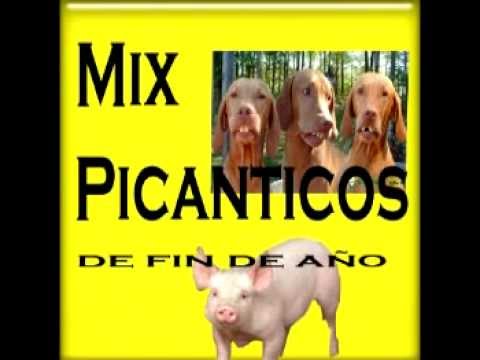MIX PICANTICOS DE FIN DE AÑO VOL 1. LA BOQUITROMPONA, EL DESEMPLEADO, A LA BELLA BELLA Y LA MATICA