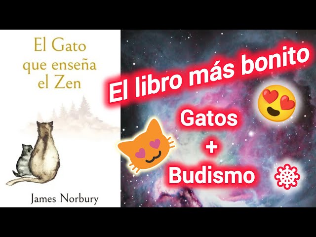 Vídeo relacionado con Zen y filosofía (fuera de colección)