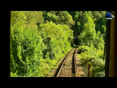 Train Backview Bratca - Alesd cu/with R3651 - Bratca - Oradea - 22 August 2014