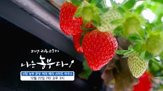 [나는농부다 228회 예고] 신참 농부 문성 씨의 베리 스마트 하우스