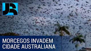 Miniatura do vídeo