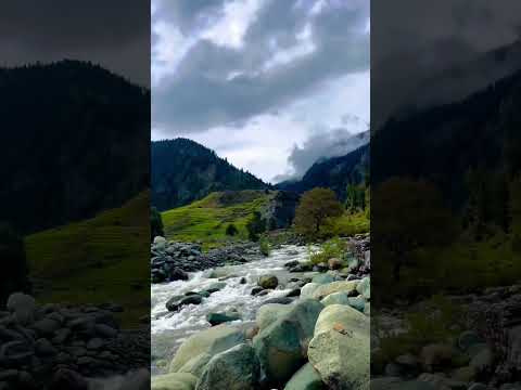 Appa Dowe #trending #viral #youtubeshorts #shorts #short #beautiful #old #song#reels #status #love