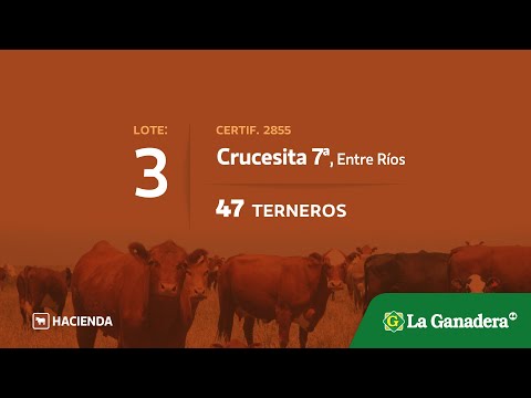 Lote Terneros en Crucecitas 7ma (E.Rios)