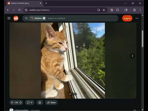 Item video thumbnail