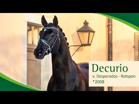DECURIO v. Desperados - Rotspon