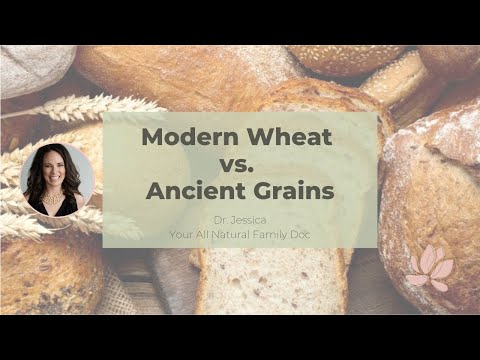 Modern Wheat vs. Ancient Grains