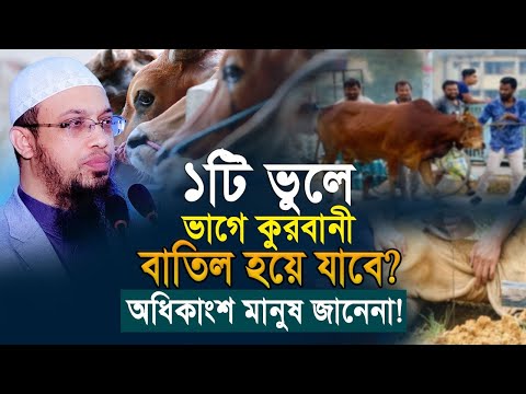 ১টি ভুলে ভাইয়ের সাথে ভাগে কুরবানী নষ্ট হয়ে যাবে? ৯০% মানুষই জানেনা!
