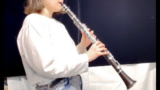 Video thumbnail for 木製クラリネット 比較 吹奏 解説 YAMAHA YCL-450 Leblanc ルブラン Serenade セレナーデ L225S Buffet Crampon クランポン E11 Clarinet by ワタナベ楽器店 Movie Channel