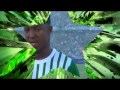 La Camisa Verde 2013 