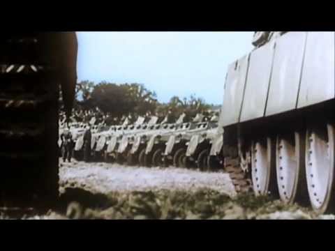 Goataholic - Age of Empires