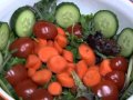 Parts Of A Plant I M A Plant Plants Song For Kids Jack Hartmann