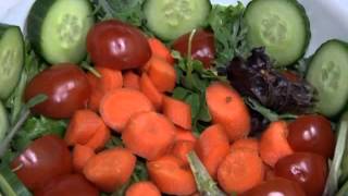 Parts of a plant - Hartman gameplay video by LezaDavis, 2:37 duration