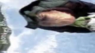 funny monkey bhop gif (nightcore)