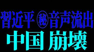 【フィフィ】習近平がとんでもない声明を出していた事が流出...遂に中国崩壊か【高市早苗 / 小野田紀美 / 柳ヶ瀬裕文】