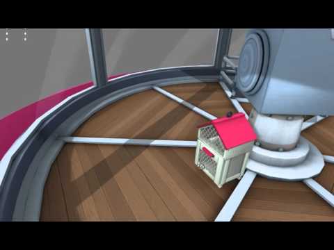 Digital Double video.