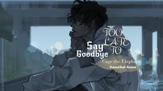 [Vietsub] Too Late To Say Goodbye - Cage the Elephant