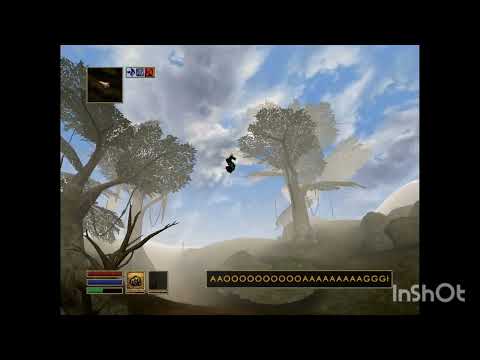 Morrowind - Did you know you could do this right outside Seyda Neen?