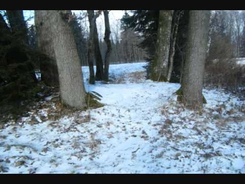 HammerFall - I want out