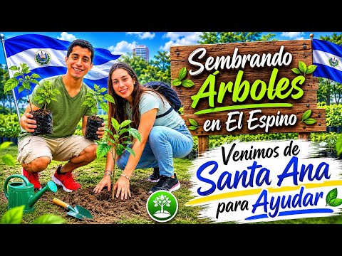 🌳Sembrando Arboles Parque Bicentenario San Salvador El Salvador El ESPINO