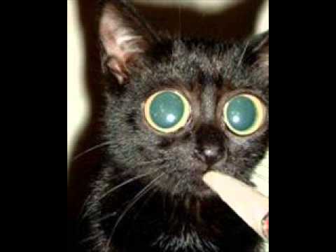 Crystal Lake - Sax' N Wax (Original mix)