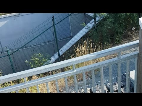 Frankfurt Flughafen Fraport