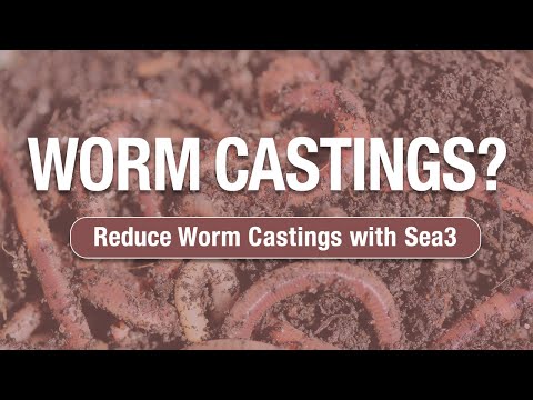EW 2 Minute Turf Talk - Reducing Worm Castings