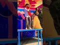 Gham Lagata Ae Raja Video Viral Arkestra Bhojpuri Dance