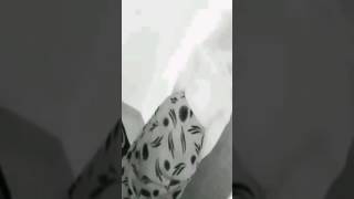 Niiko cusub wasmo, siigo 2017