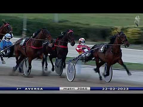 Aversa trotto 22 Febbraio 2023 - 7° Corsa