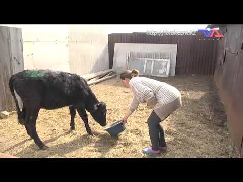 «Күн» ақпараттық бағдарлама 23 сәуір 2021ж.