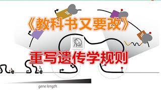《教科书又要改？》基因不再是固定代码 | Rewriting the Rules of Genetics