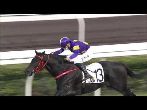 17/1/2021 (354) Tempest Express - A Hamelin (Hamelin 5W on a day)