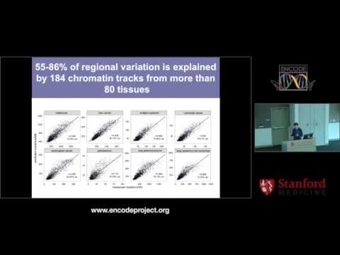 Using ENCODE to interpret mutational patterns in cancer genomes - Shamil Sunyaev